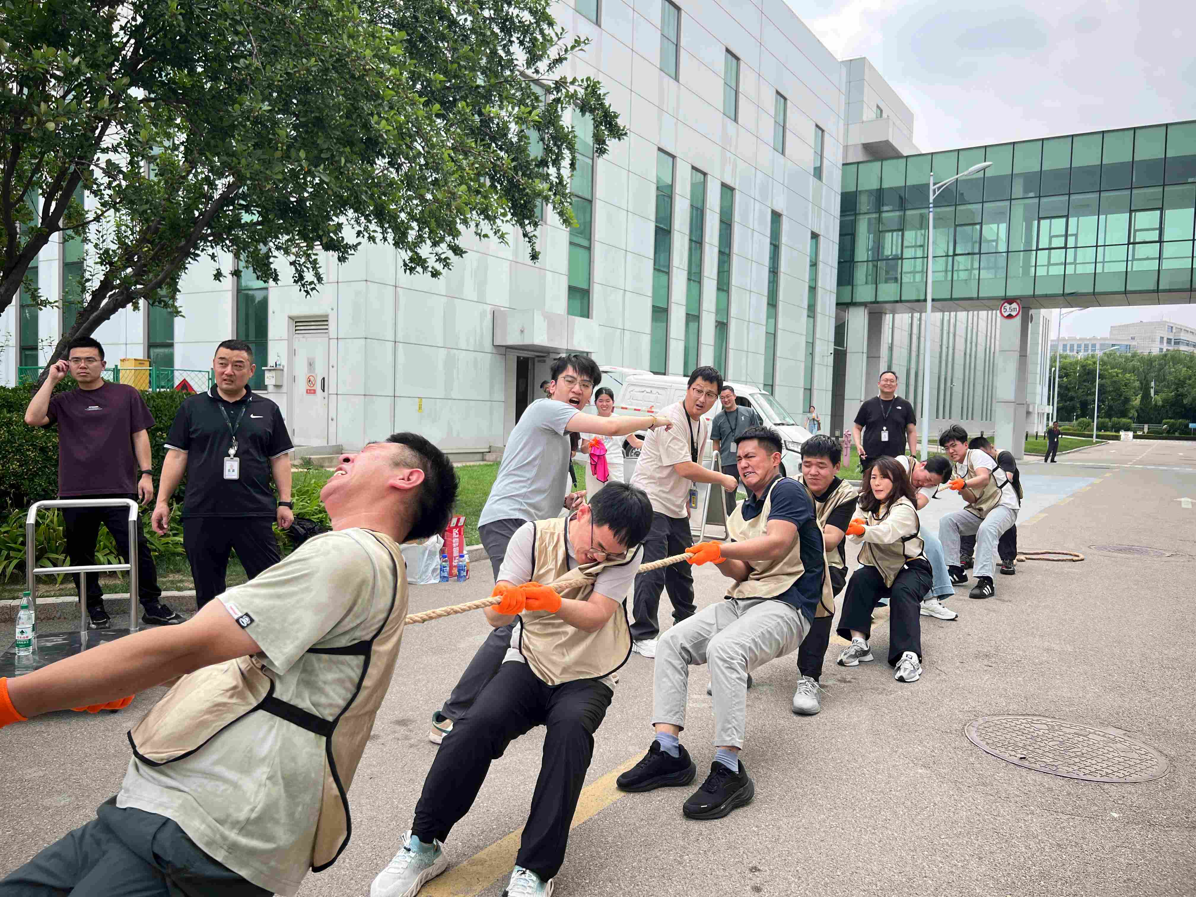 微信图片_20260623155959_82_22.jpg
