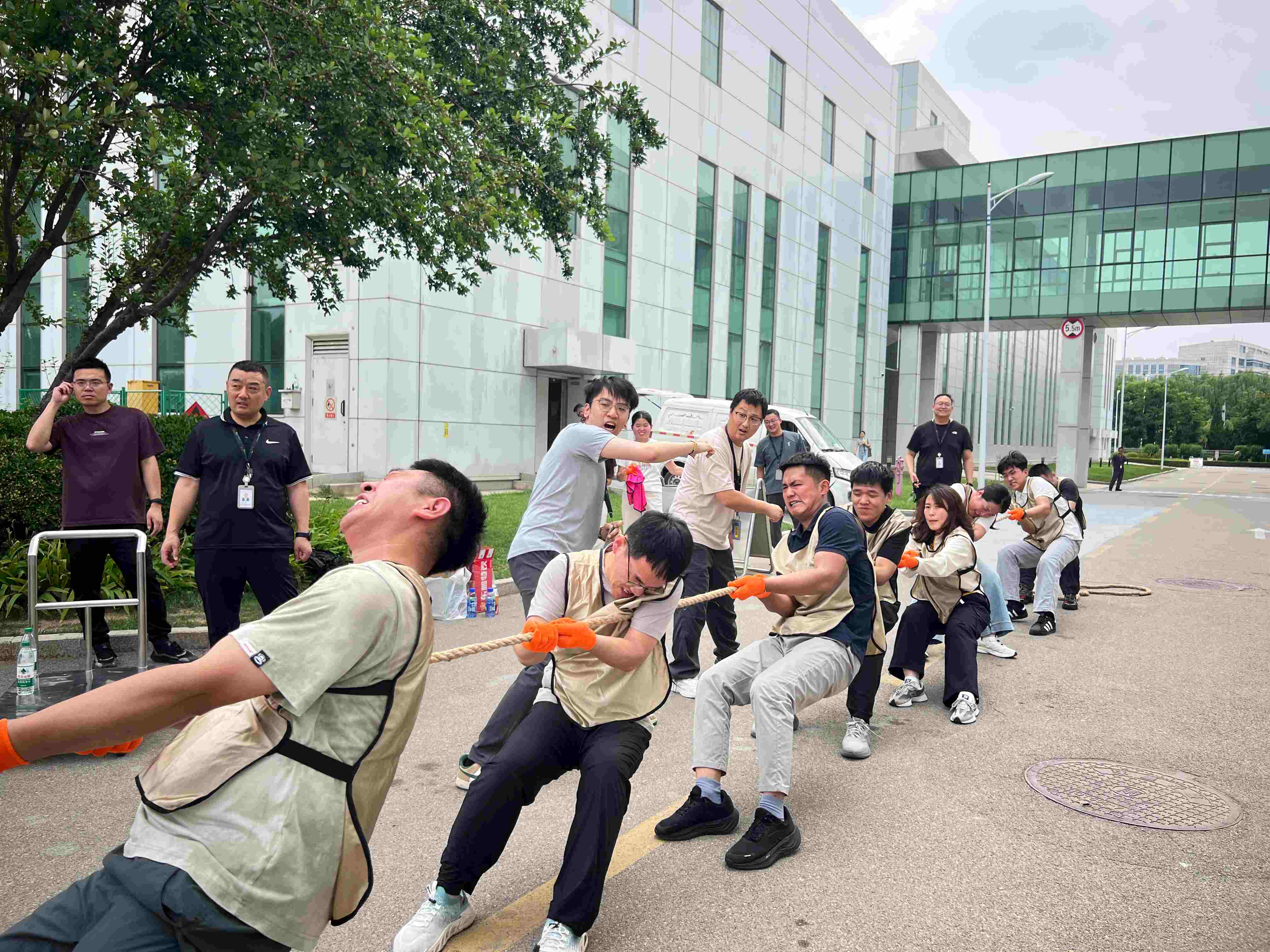 微信图片_20260623155959_82_22.jpg